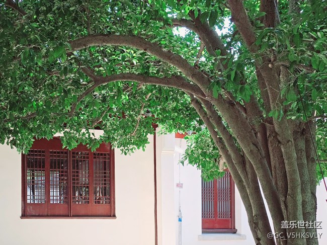 【嘉定孔廟線下攝影活動】+歷史給我們留下的