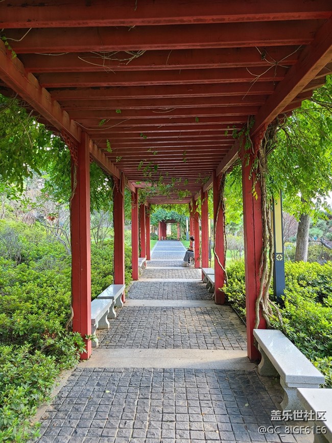 【金色秋天】+金秋送爽