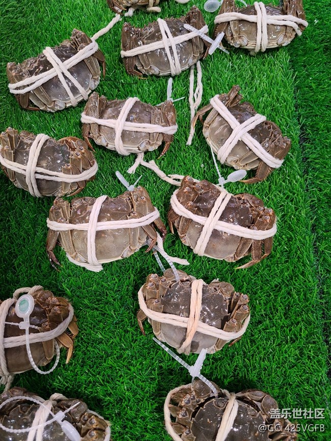 【中秋團圓，一路有AI】和三星一起過中秋