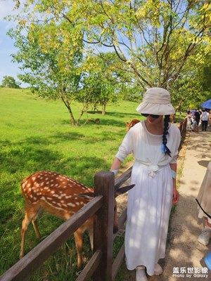 【永恒瞬間】+定格杭州的美好