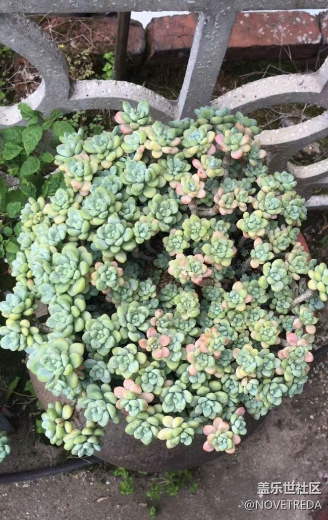 【與國(guó)同慶】“美好”的一天