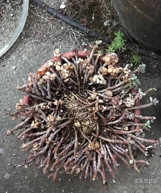 【與國(guó)同慶】“美好”的一天