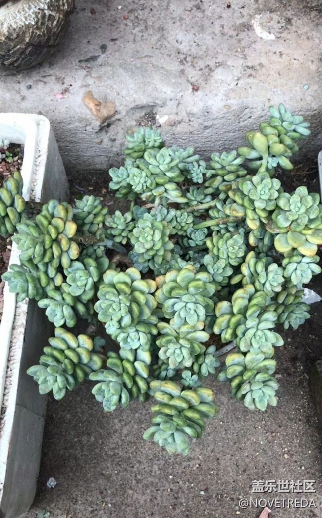 【與國(guó)同慶】“美好”的一天