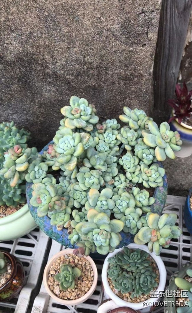 【與國(guó)同慶】“美好”的一天