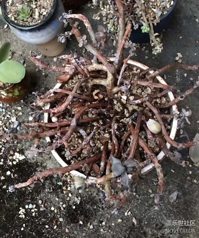 【與國(guó)同慶】“美好”的一天