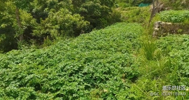 【最美秋色醉人心】下地