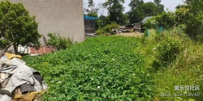 【最美秋色醉人心】下地