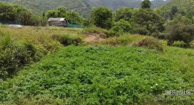 【最美秋色醉人心】下地