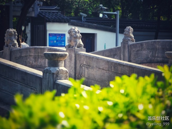 上海星部落9月28日嘉定孔廟線下攝影活動回顧帖 上海星部落9月28日嘉定孔廟線下攝影活動回顧帖