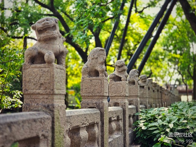 上海星部落9月28日嘉定孔廟線下攝影活動回顧帖 上海星部落9月28日嘉定孔廟線下攝影活動回顧帖