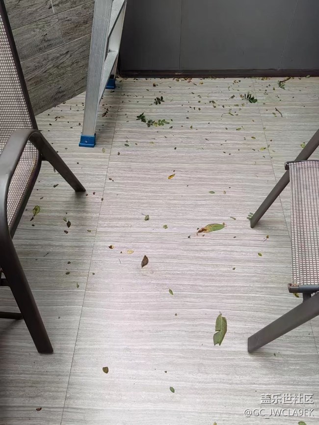 【我的十一假期】宅家