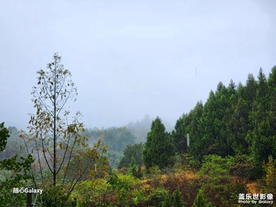 【金九銀十迎雙節(jié)】森呼吸