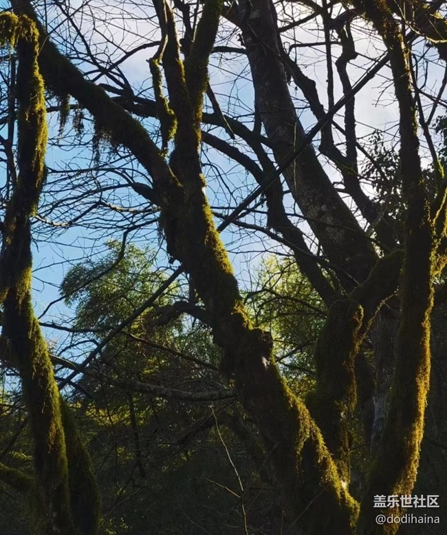 【我的十一假期】回家過節(jié)