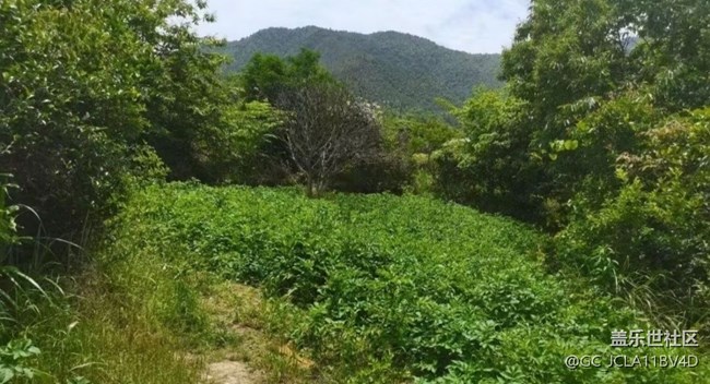 【最美秋色醉人心】下地