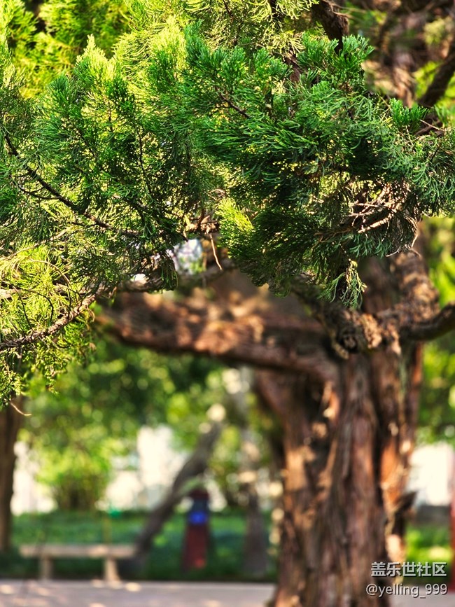 上海星部落9月28日嘉定孔廟線下攝影活動回顧帖 上海星部落9月28日嘉定孔廟線下攝影活動回顧帖