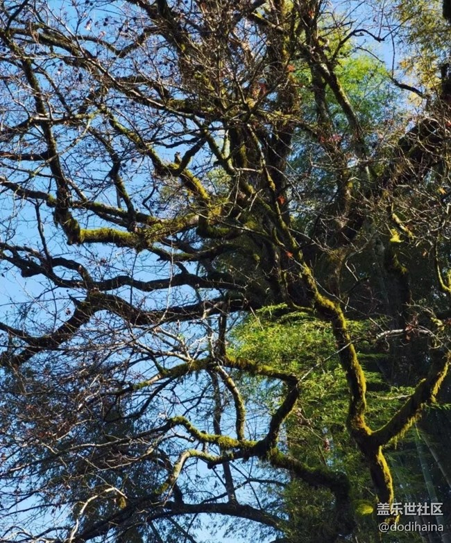 【我的十一假期】回家過節(jié)