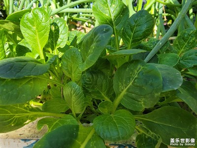 【快樂假日】+老家生活