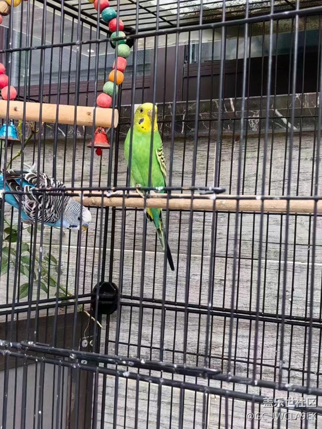 【我的十一假期】宅家