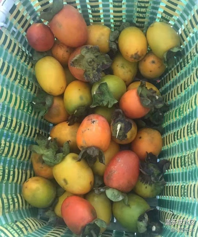 【家鄉(xiāng)風(fēng)情】回鄉(xiāng)干活