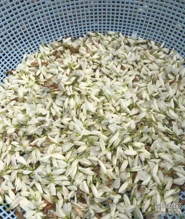 【家鄉(xiāng)風(fēng)情】回鄉(xiāng)干活