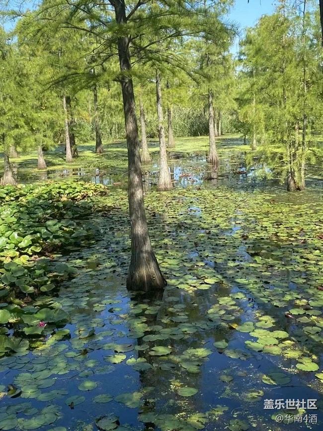 【我的十一假期】國慶放假