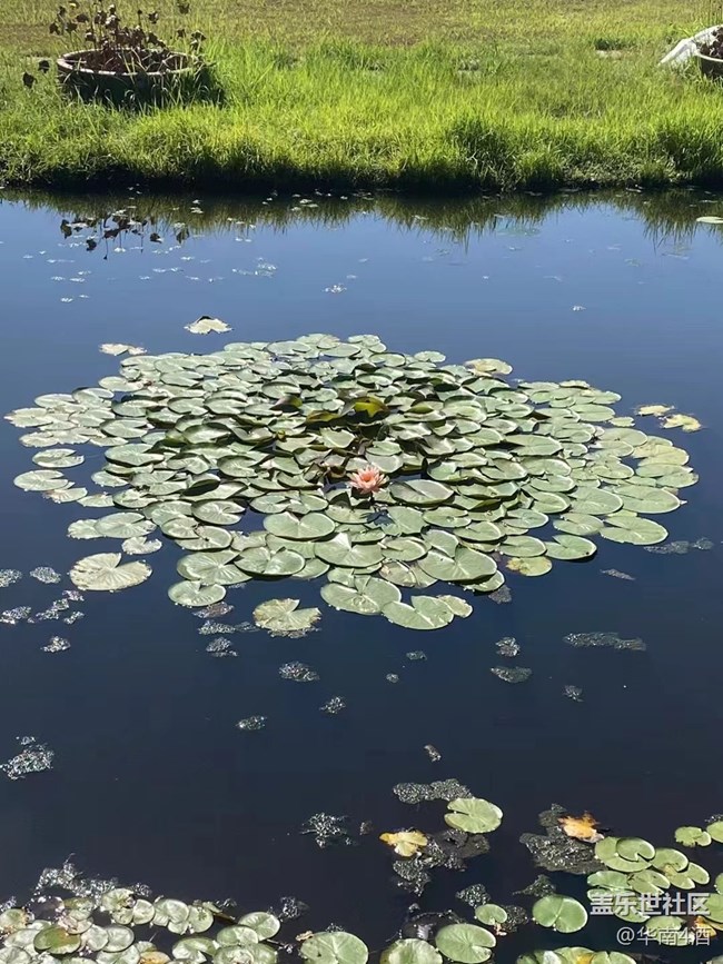 【我的十一假期】國慶放假