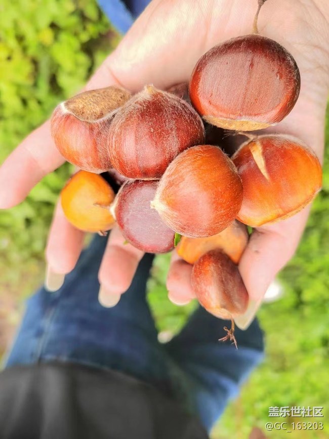 【我的十一假期】回家