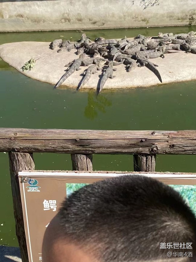 【我的十一假期】國慶放假