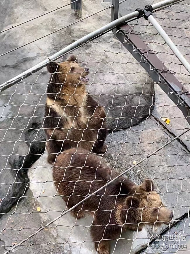 【我的十一假期】去動(dòng)物園