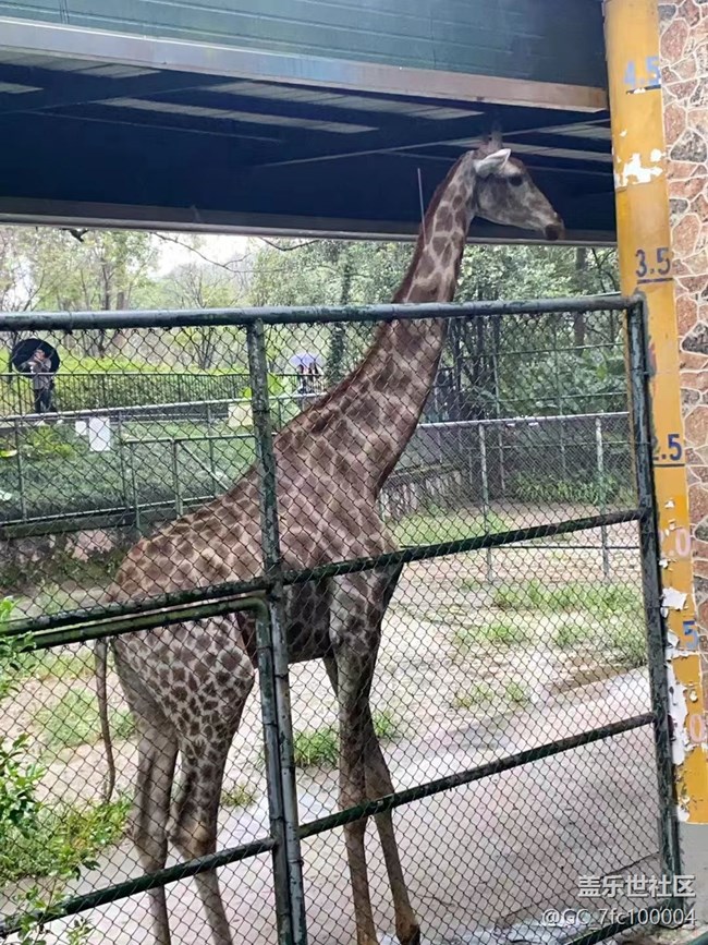 【我的十一假期】去動(dòng)物園