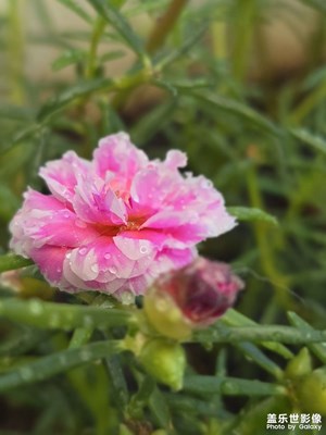 有太陽的地方……