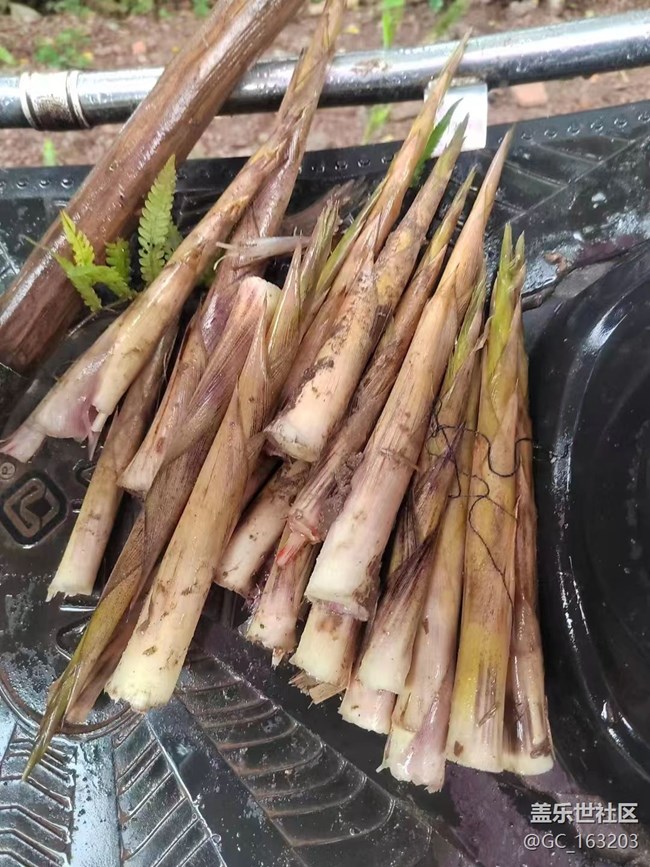 【我的十一假期】回家