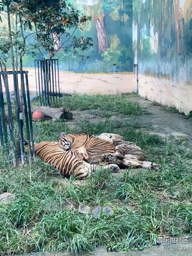 【我的十一假期】去動(dòng)物園