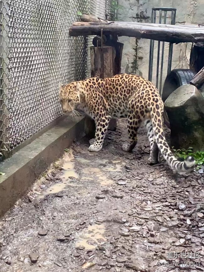 【我的十一假期】去動(dòng)物園