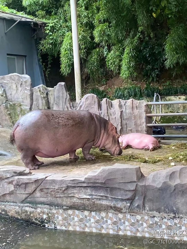 【我的十一假期】去動(dòng)物園