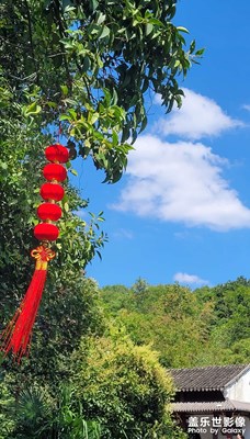 【快樂假日】+周邊出游