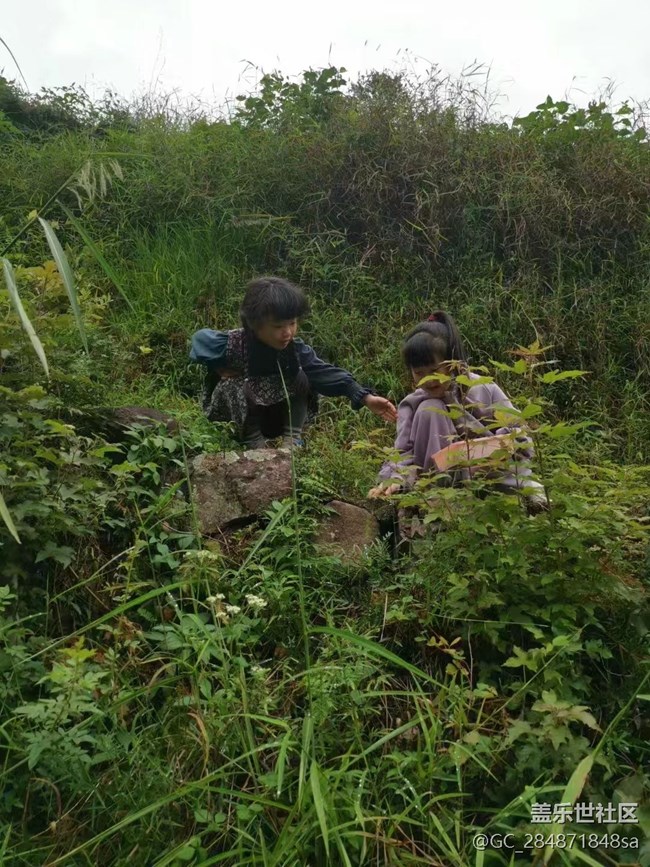 【我的十一假期】山珍野味