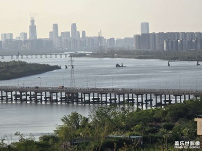 2024_10_4?？诰G地城