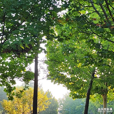 快樂假日 出行隨拍