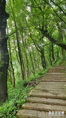 【金九銀十迎雙節(jié)】古道