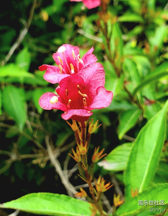 【五顏六色的秋天】自然間的多彩