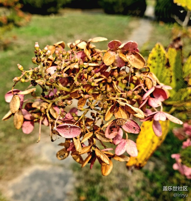 【五顏六色的秋天】自然間的多彩