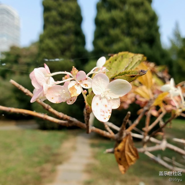 【五顏六色的秋天】自然間的多彩
