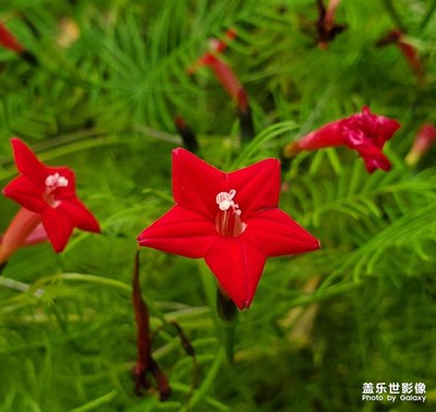 【金九銀十迎雙節(jié)】+秋日美好