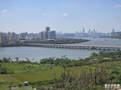 小區(qū)陽(yáng)臺(tái)隨拍還有新加入的小狗??