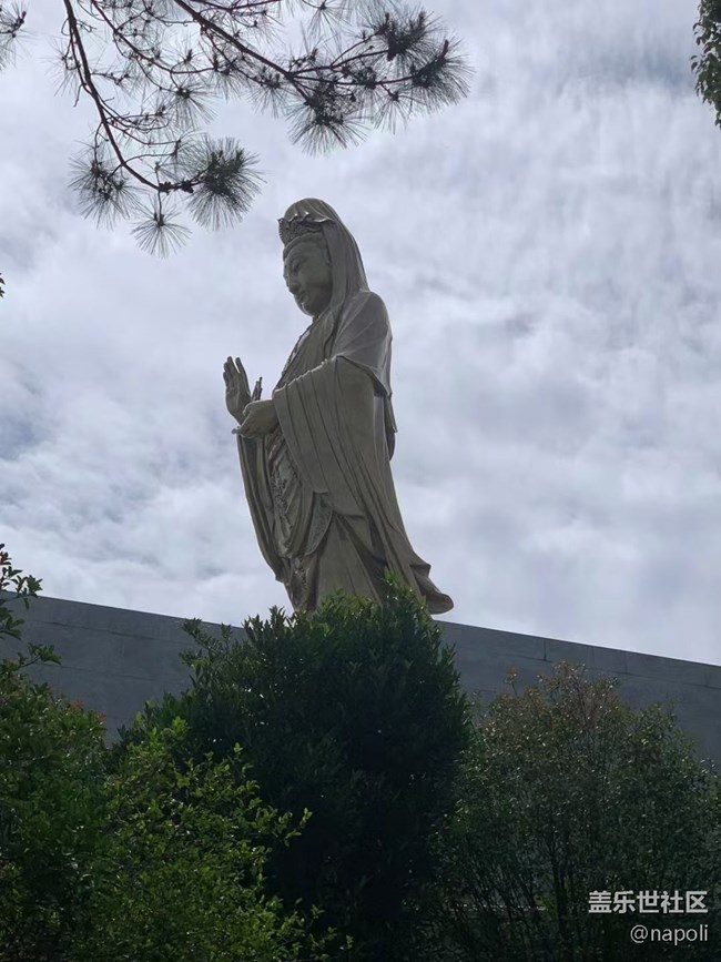 【我的十一假期】普陀祈福