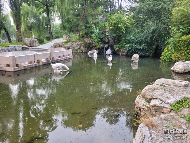 【陶然亭行攝】+國慶菊花展回顧貼