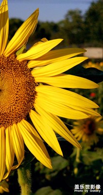 【快樂假日】美好瞬間