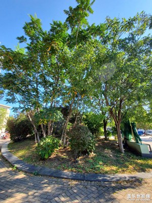 【金九銀十迎雙節(jié)】+秋天