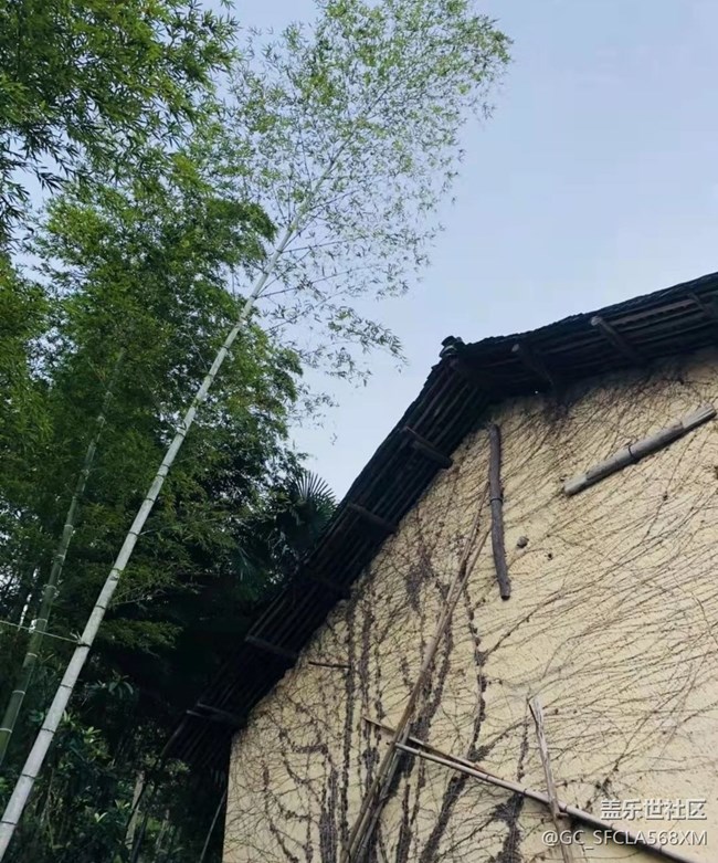 【家鄉(xiāng)風(fēng)情】回家里